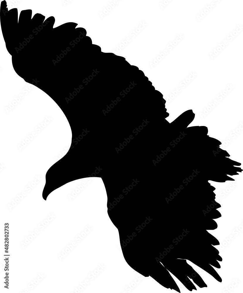 Rapace volant en silhouette, vecteur noir sur fond transparent Stock — free download