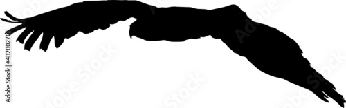 Rapace volant en silhouette, vecteur noir sur fond transparent