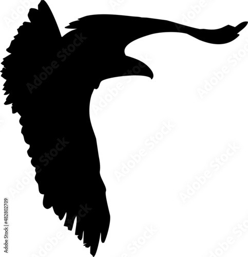 Rapace volant en silhouette, vecteur noir sur fond transparent