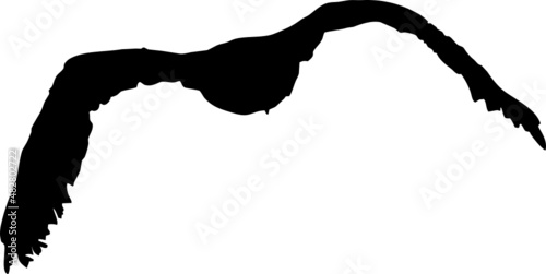 Rapace volant en silhouette, vecteur noir sur fond transparent