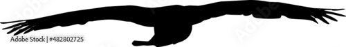 Rapace volant en silhouette, vecteur noir sur fond transparent
