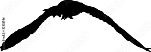 Rapace volant en silhouette, vecteur noir sur fond transparent