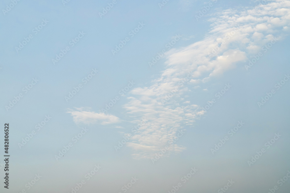 A strip of feather (Altocumulus) clouds on a pale blue sky at dawn. A strip of feather (Altocumulus) clouds on a pale blue sky at dawn.