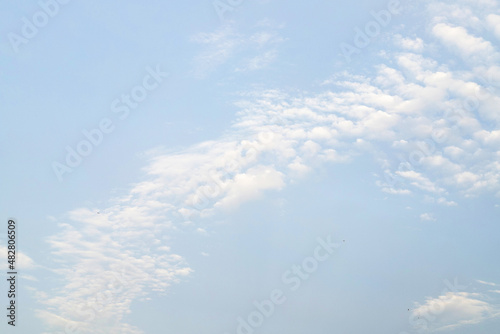 Canvas Print Gently blue sky with feather clouds and seagulls at dawn.