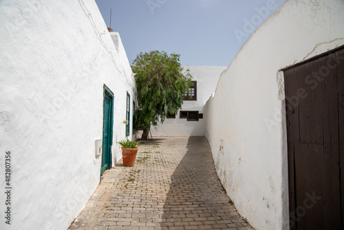 ruelle pavée au murs blancs avec porte verte pot de fleur et arbre