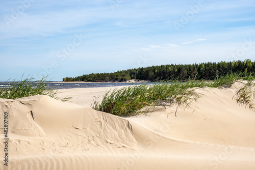 Dune sand by the sea photo