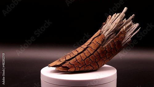video of a tree branch that resembles a horse's leg