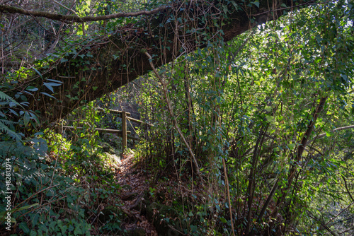 Access trail with handrails to access the Filveda waterfall  also known as the Fr  gua da Pena waterfall  Freguesia de Silvada  Sever do Vouga  district of Aveiro. Portugal