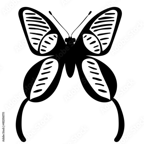 butterfly silhouette, on white background, vector, isolated