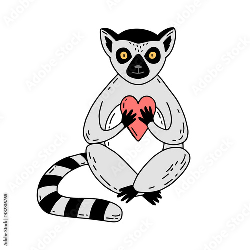 A lemur in love holds a heart. Lemur in hand drawn style isolated on white background. Vector illustration.