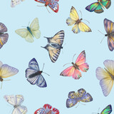 Seamless pattern with butterflies, watercolor illustration. seamless botanical pattern. Template design for, textile, interior, clothing, wallpaper, wrapping paper, packaging, print.