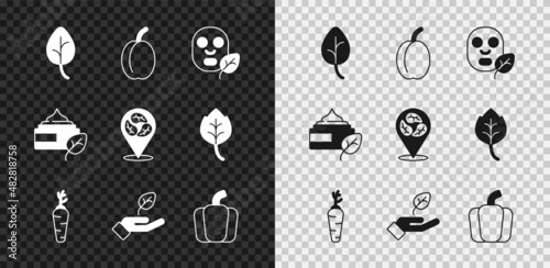 Set Leaf or leaves, Plum fruit, Facial cosmetic mask, Carrot, Plant in hand, Bell pepper, Organic and Vegan food diet icon. Vector