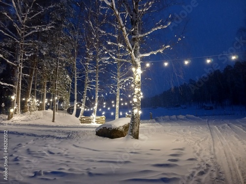 light lines winter in the park Christmas eve New Year