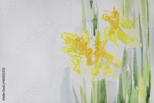 Spring background with space for text. Yellow bright flowers watercolor. Elegant minimalistic painting. Daffodils with blossoms, petals, leaves and stems. Easter wallpaper. Brush strokes texture.