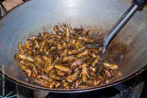 Mole crickets fried in a hot pan. Fried insects, delicious food in Thailand.