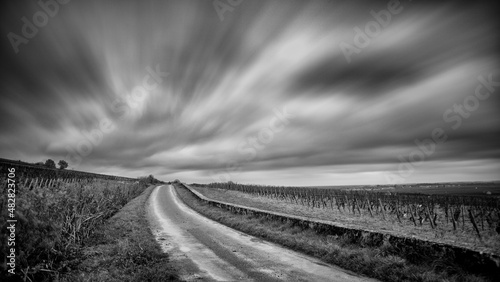 Paysage de noir en blanc et en pose longue sur la route entre les climats de Bourgogne "Les Lavières" et "Les Godeaux", Savigny-lès-Beaune, Bourgogne, France