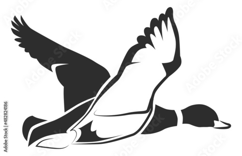 Fotótapéta Flying duck icon. Wild bird flight. Beautiful mallard