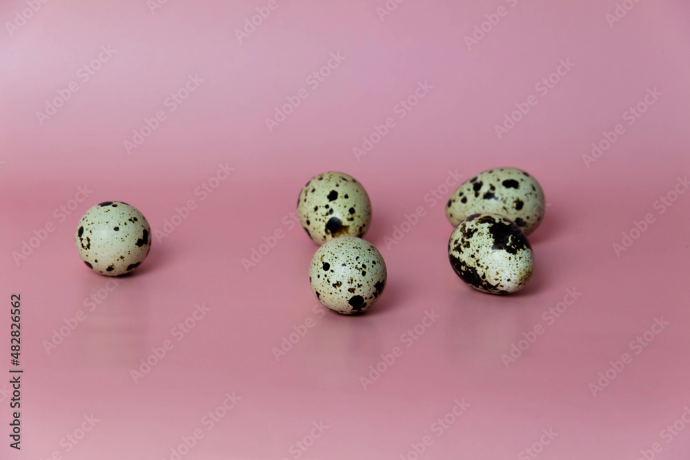 A quail egg lies on a pink background near the wall.