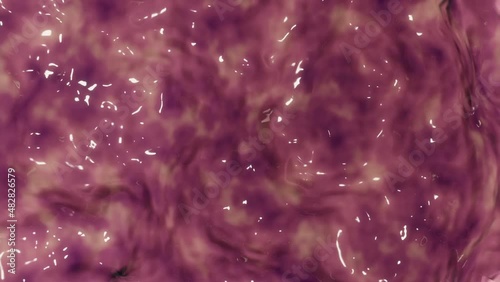 An organic fleshy digestive tract background, animation loop