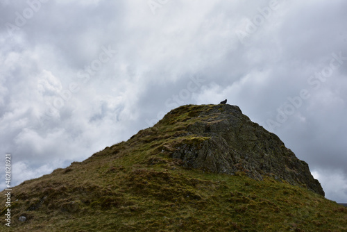 Bird Sitting on Top of a Rocky Crag © dejavudesigns