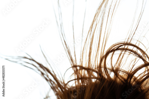 Windy hair. Abstract close up hairs on white background.