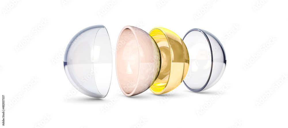 custom made wallpaper toronto digitalTapetum lucidum light reflective layer in the eye