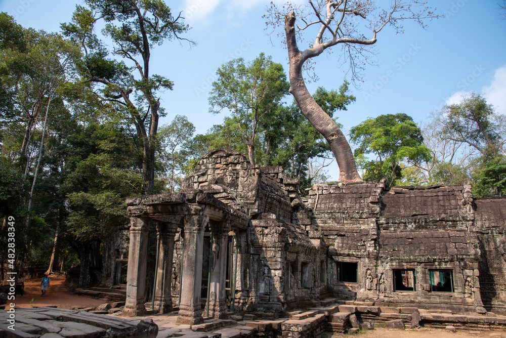 Fototapeta premium Cambodian Ruins