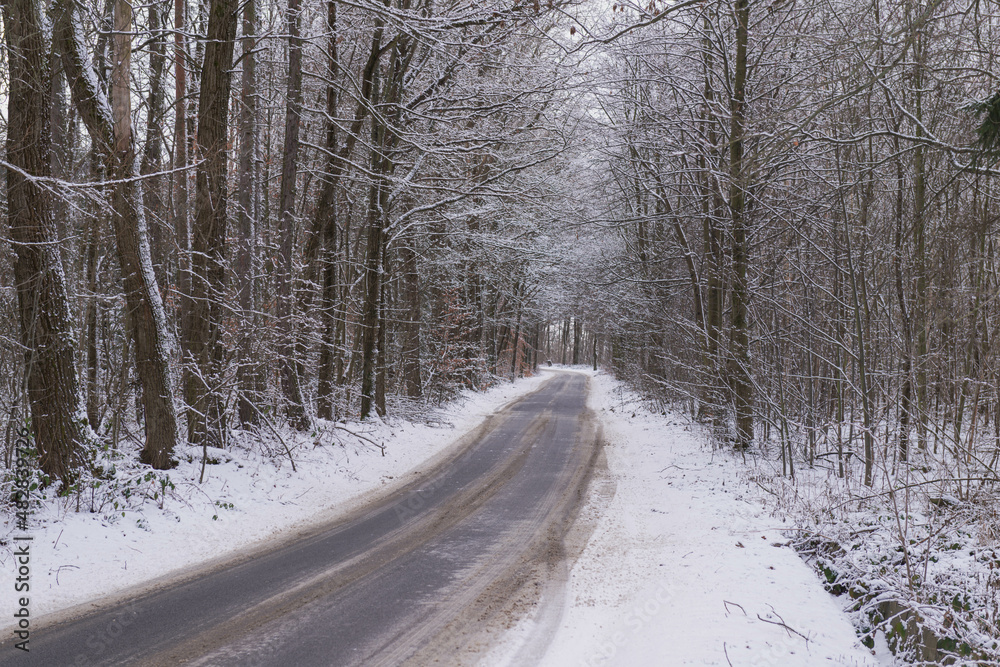 Asfaltowa droga przebiegająca przez las pokryta warstwą śniegu. - obrazy, fototapety, plakaty 