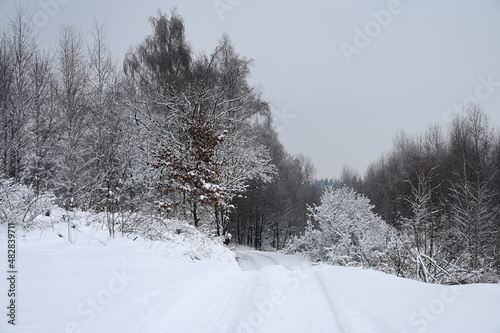 Droga zasypana śniegiem wśród ośnieżonych drzew i krzewów.