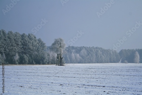 krajobraz zimowy
