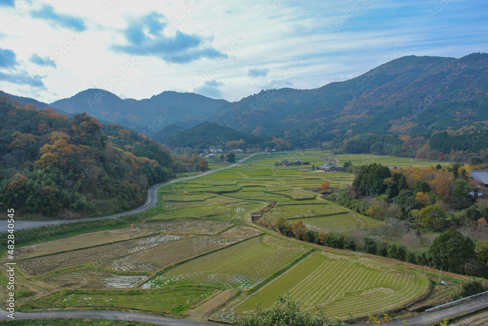 Rice terraces