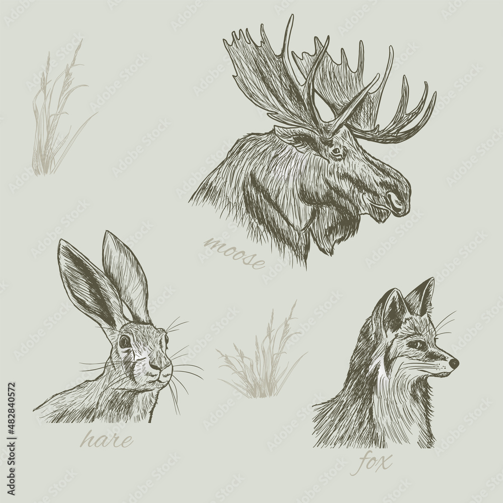 Obraz premium wild animals such as moose, fox and hare