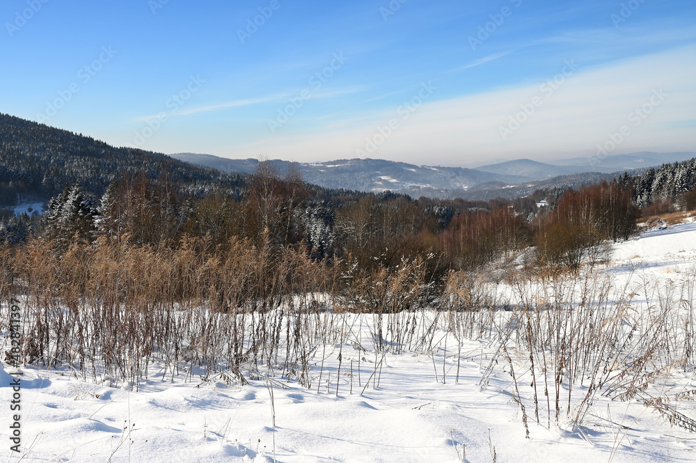 Panorama górskiej doliny w zimowy słoneczny dzień. Panorama górskiej doliny w zimowy słoneczny dzień.