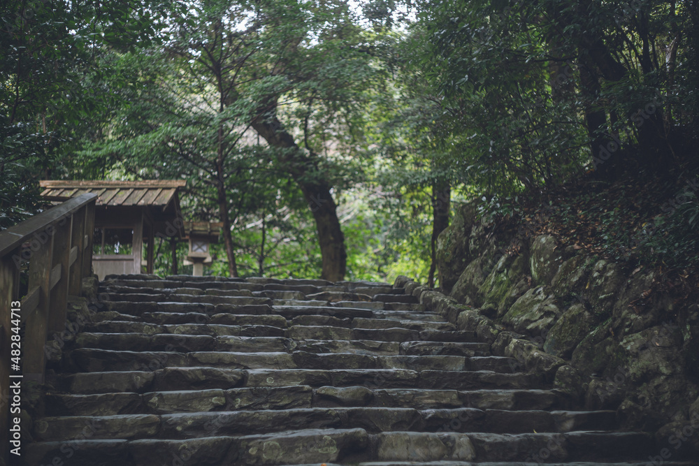 三重県伊勢市にある日本の神社 伊勢神宮境内の森林