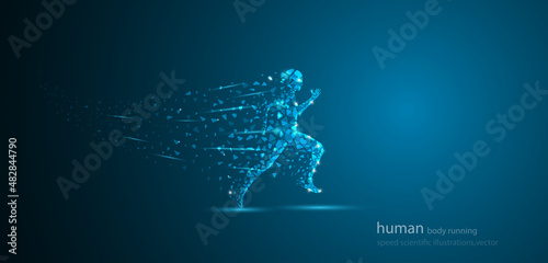 human body running at the speed of scientific illustrations, vector