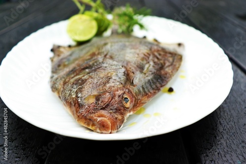 Fresh fish on plates isolated on white. Flounder or flatfish.