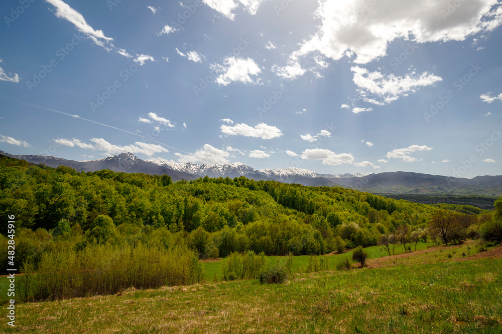 Snow-capped mountains at the horizon and green forest. Colorful landscape in spring.