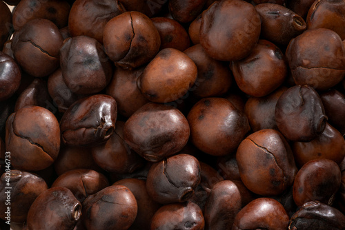 Detailed and large close up shot of roasted lupin beans.