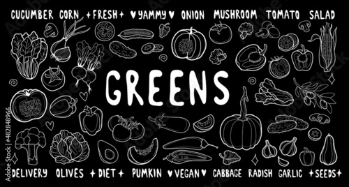 Set of fresh yummy vegetables and greens on black chalkboard, individual elements for trendy cafe shop design, handwriting words and font. Sliced vegetables.