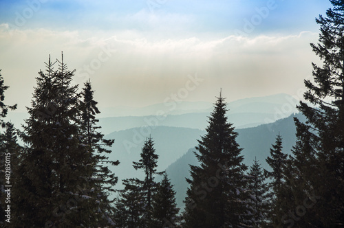 Fototapeta Naklejka Na Ścianę i Meble -  View trough trees over the hills of the Black Forest caught in haze.