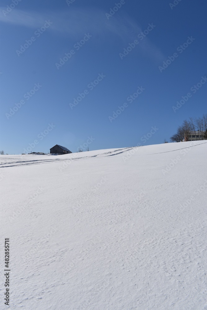 A snowy field under a blue sky, Sainte-Apolline, Québec, Canada