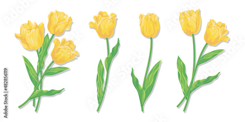 Wallpaper Mural チューリップのベクターイラスト　黄色い花 Torontodigital.ca