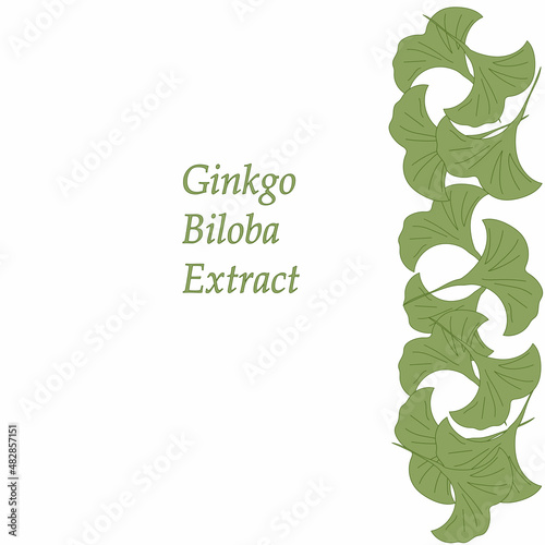 Floral background with ginkgo biloba on a white background. Vector illustration with place for text. Vertical composition. Greeting card, invitation or isolated elements for design.