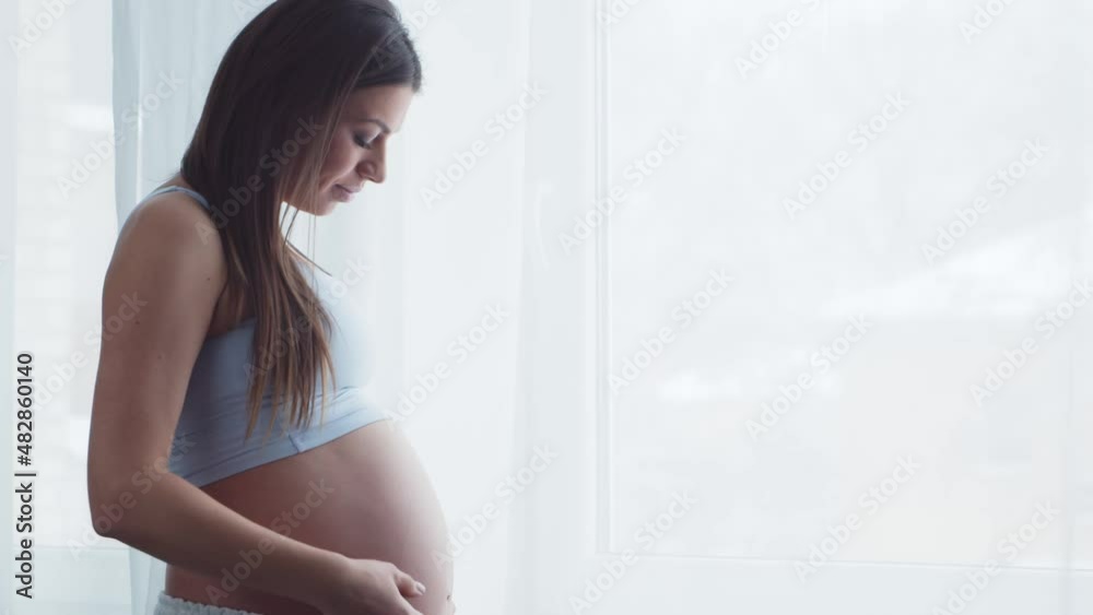 Young pregnant woman is resting at home and expecting a baby. The concept of pregnancy, motherhood, health and lifestyle. Young pregnant woman is resting at home and expecting a baby. The concept of pregnancy, motherhood, health and lifestyle.