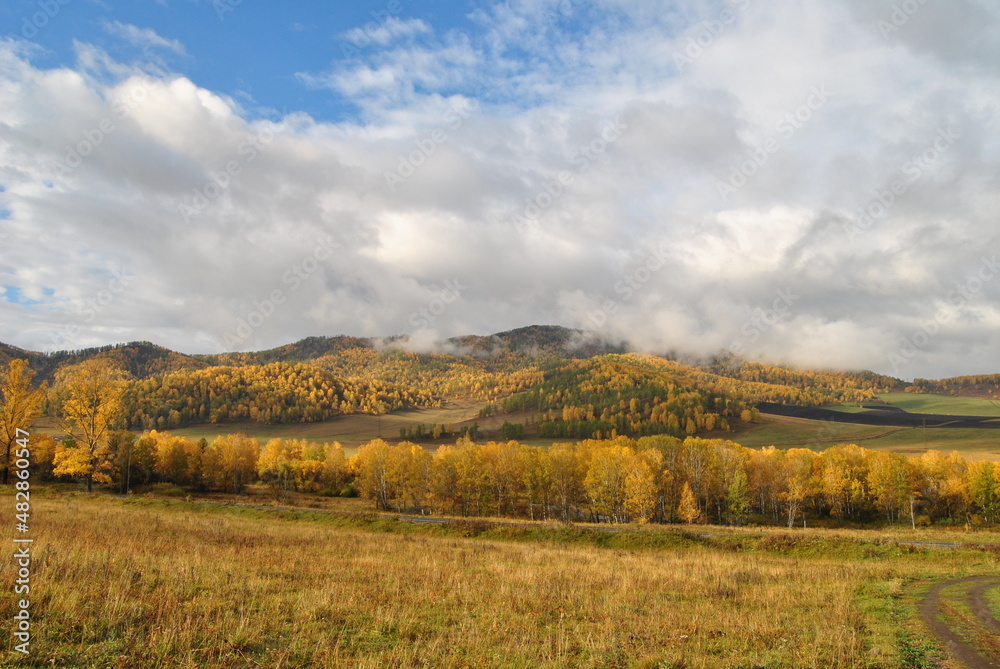 Golden autumn in Altai. Autumn foggy morning in the Altai mountains. Yellow trees, blue sky.