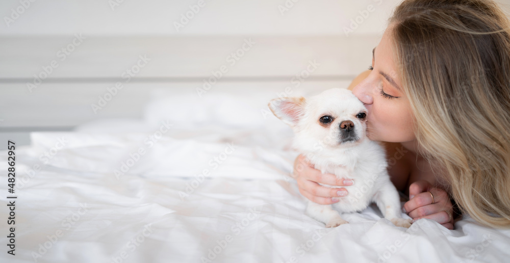 Beauty caucasian woman in pajamas in bed and kissing her cute little brown chihuahua dog Sleeping rest alone on the bed. Banner. Beauty caucasian woman in pajamas in bed and kissing her cute little brown chihuahua dog Sleeping rest alone on the bed. Banner.