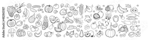 Fototapeta Naklejka Na Ścianę i Meble -  Big set of graphic vector vegetables, fruits, greens and berries. Black lines, sliced vegetables and fruits. For design and patterns. 