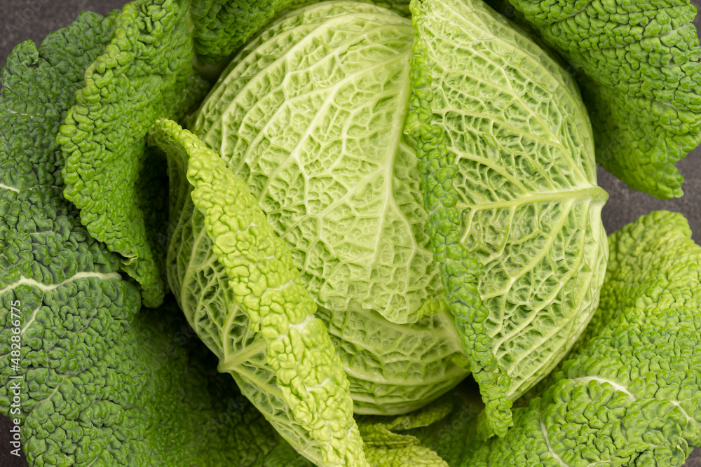 Fototapeta premium Savoy cabbage close-up. Flat lay.