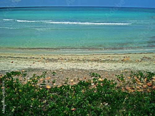 Strand der Karibik auf Kuba photo