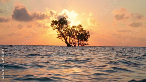 sunrise dusk shot showing a lone mangrove tree in the middle of the ocean on a beach with the sun hidden behind it and the red gold colors of dusk shot in havelock swaraj dweep island andaman india photo